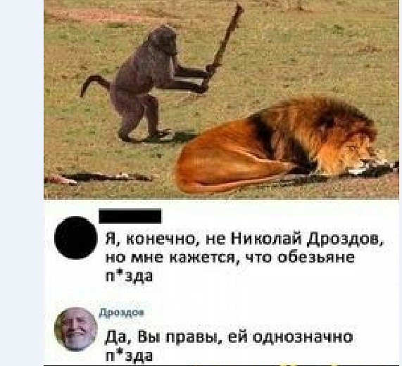Так себе картинки 11.04.22