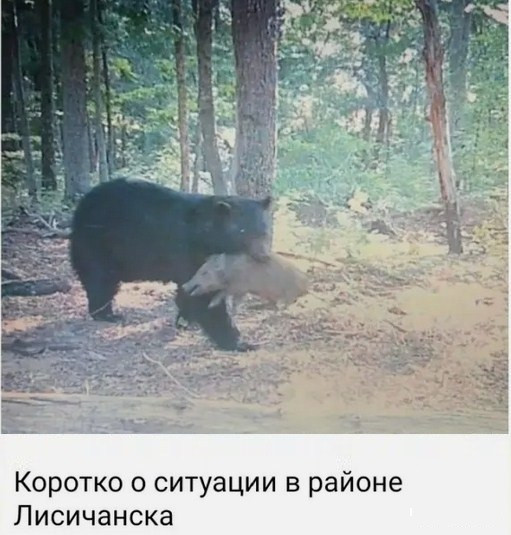 Юмор в картинках и без