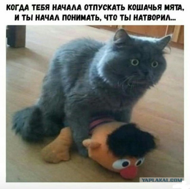 Немножко пошлых картинок