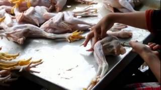 В России предупредили о возможных проблемах с мясом птицы