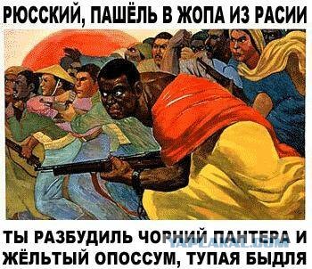 В подмосковном Чехове мигранты устроили среди ночи бойню, которая в итоге закончилась двойным убийством