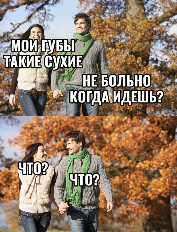 Весёлый полтишок 19.11.23