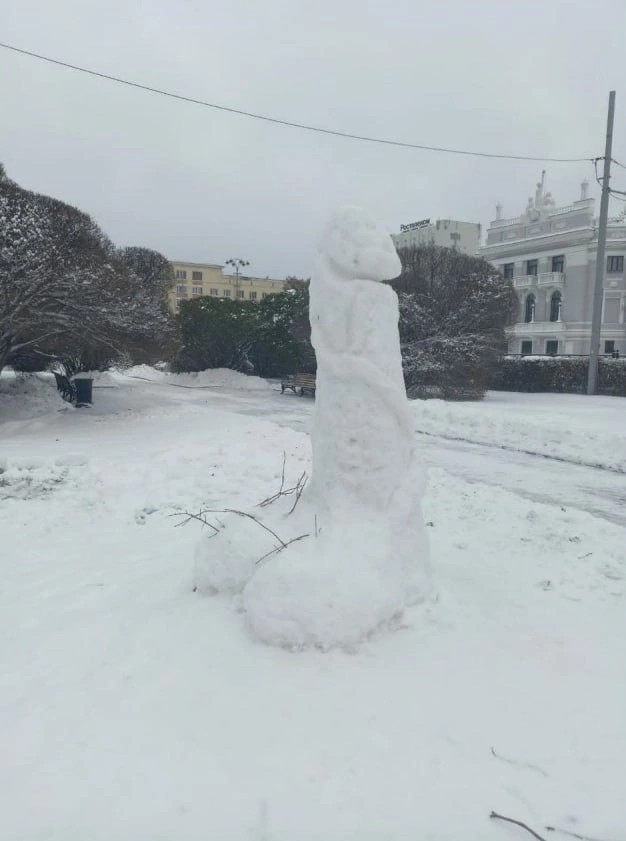 Отвези детей погулять на первый снег в Москве, говорили они. Будет весело, говорили они
