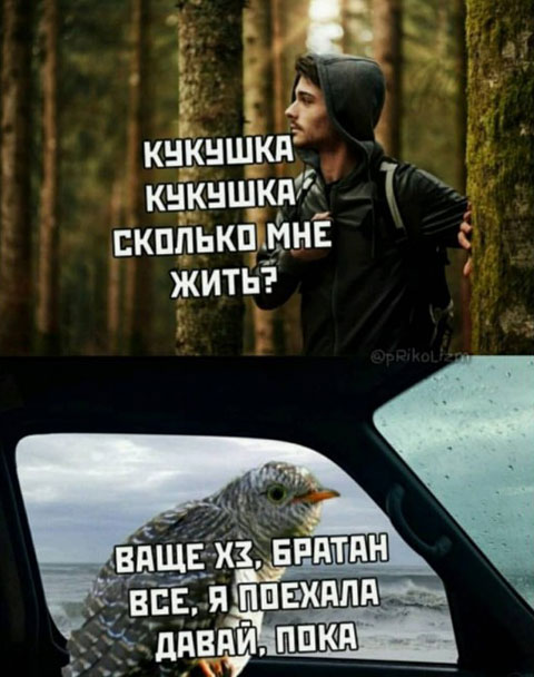 Ахтунг! Баянинг!
