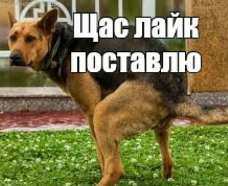 Строение у Наф-Наф