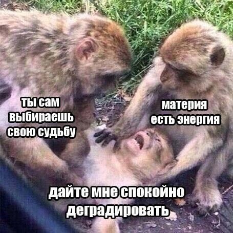 Немного наркомании и шизофрении в ленту. Часть 2