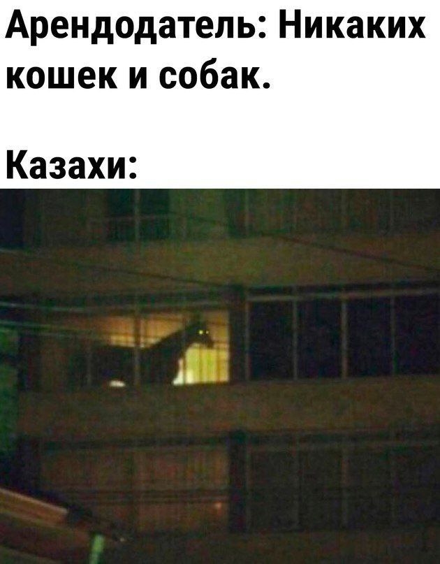Кто украл мой пертуссин?