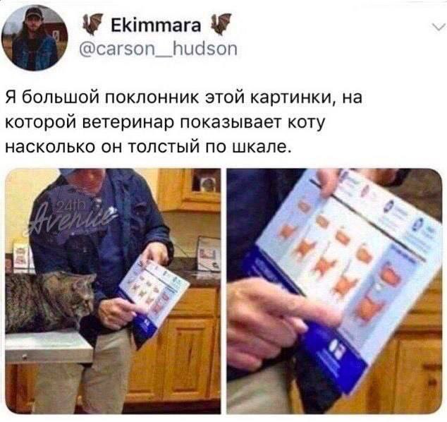 Завалялось тут случайно немного забавных картинок
