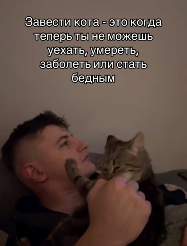 К котовторнику: подборка картинок-баянов с котиками и про котиков. Выпуск 3.