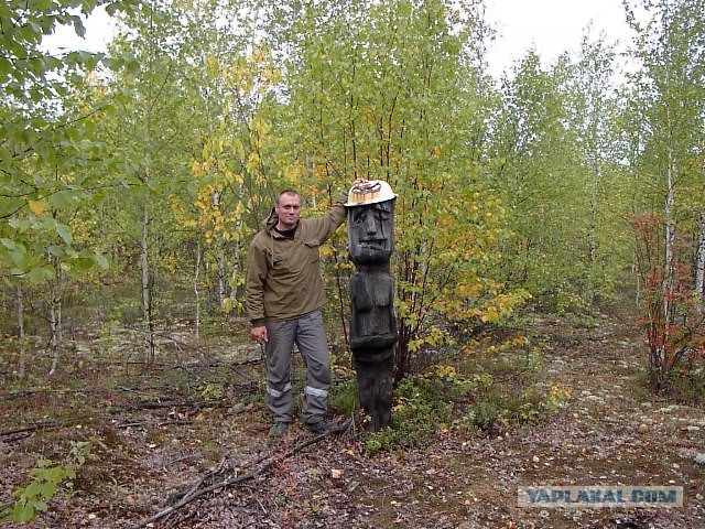 Красота! Лето на Ямале. Фото