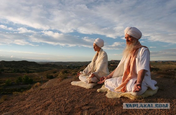 Дай дорогу дураку