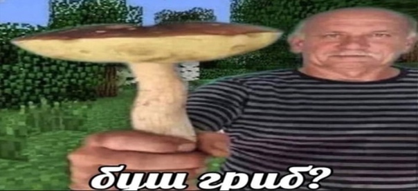Гриб, берут сомнения, вроде опята, но юбки нет, выручайте