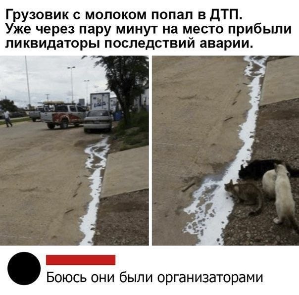 Веселое настроение в картинках 16.08.25