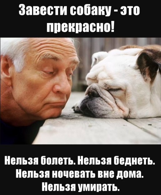 Так себе картинки 17.09.25