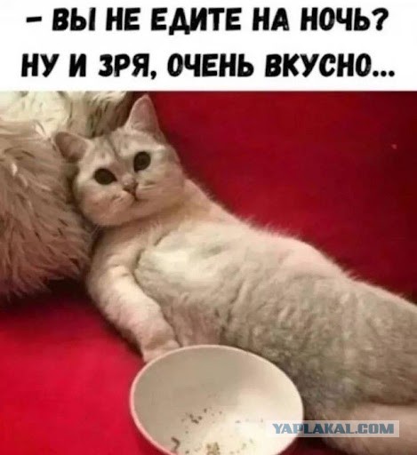 Картинки для деградации 46 (разной степени свежести)