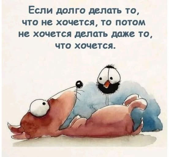 Вторник . Немного картинок