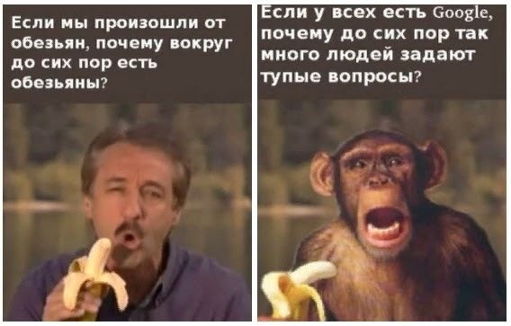 Воскресные картинки