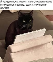 Картиночки, баянчики 08 декабря