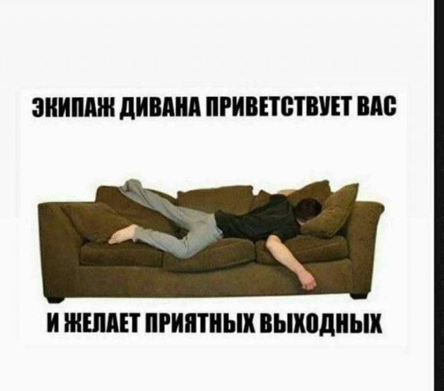 Всякой Хни вам в ленту, дорогие деграданты