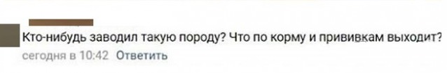 Женщины о мужчинах, работающих в офисе
