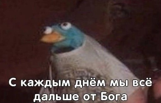 Магниты на холодильник, в которые можно загружать фотографии со смартфона