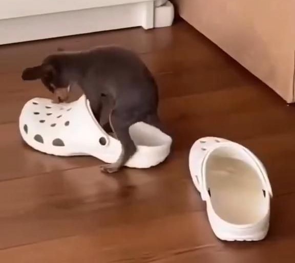 Медальон