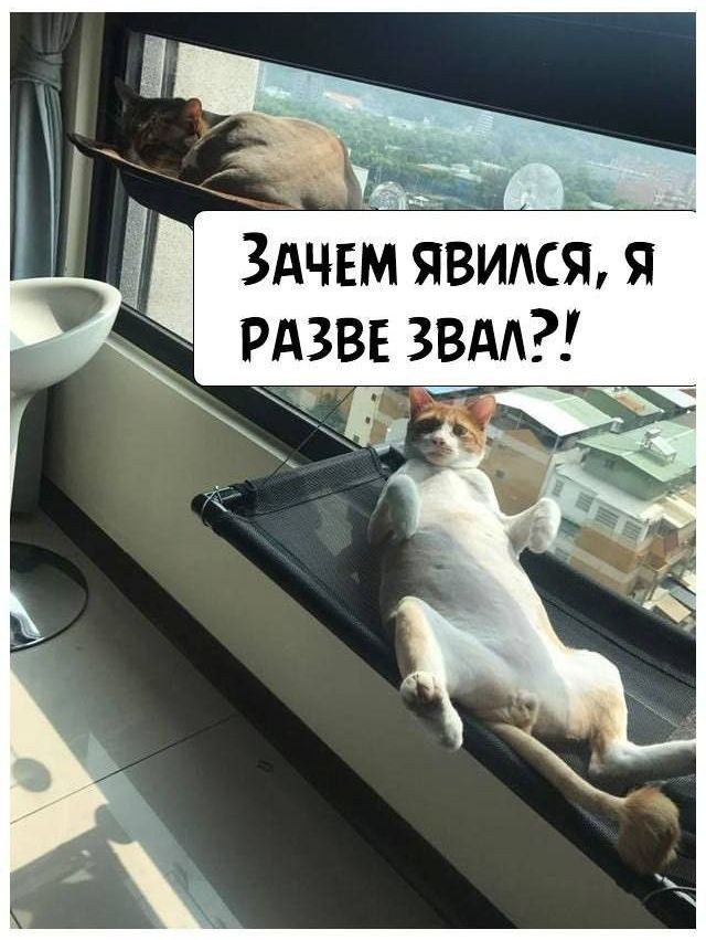Картинки для деградации 227 (разной степени свежести)