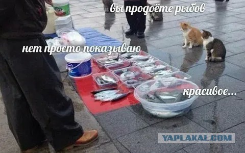 Ры-ры, Ба-ба