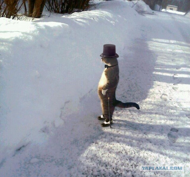 Март ты где ?