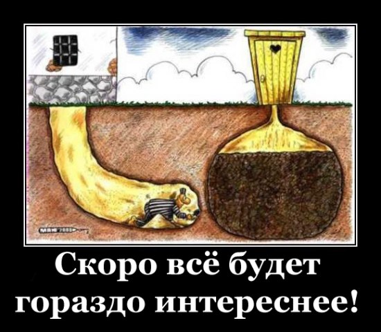 Верховная Рада вчера