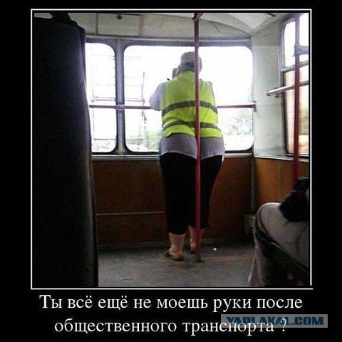 Веселые картинки