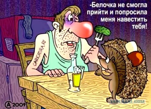 Немного юмора