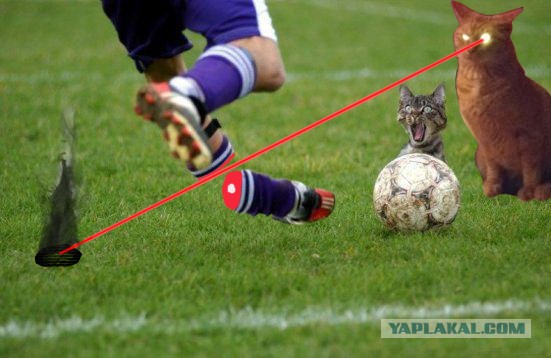 Фотожаба: Злой Кот