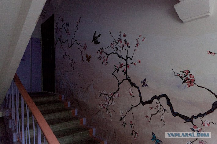 Роспись стен в подъезде (62 фото)