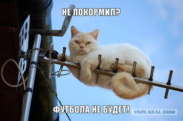 Просто картинки