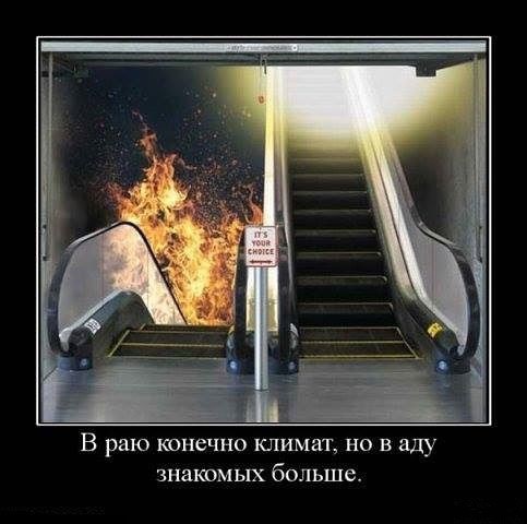 Забавные картинки из Сети