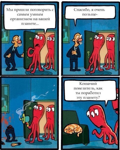 Для улыбок с утра