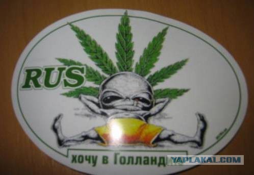 Ну и по традиции пятничные кубики!