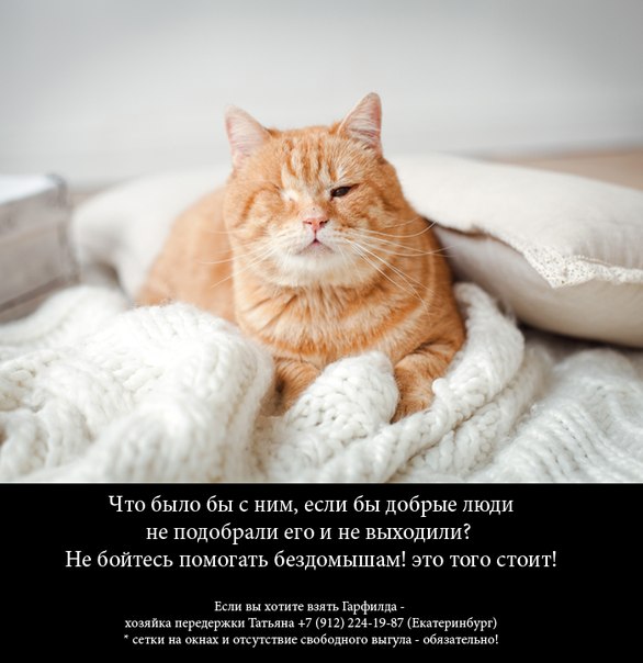 Что может сотворить любовь и забота