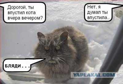 Невтерпеж