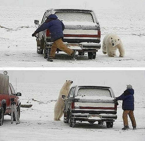 Картинки и приколы из соцсетей