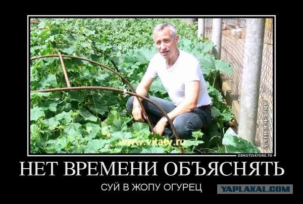 Послание из будущего