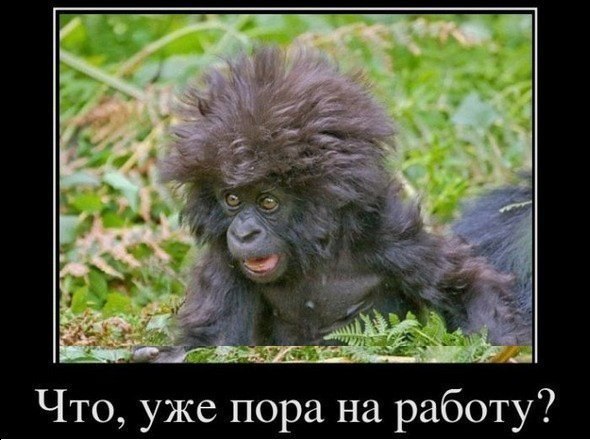 Немного позитива