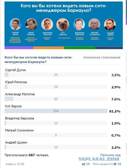 На выборах мэра Барнаула лидирует кот Барсик