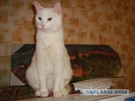 Наша Муся