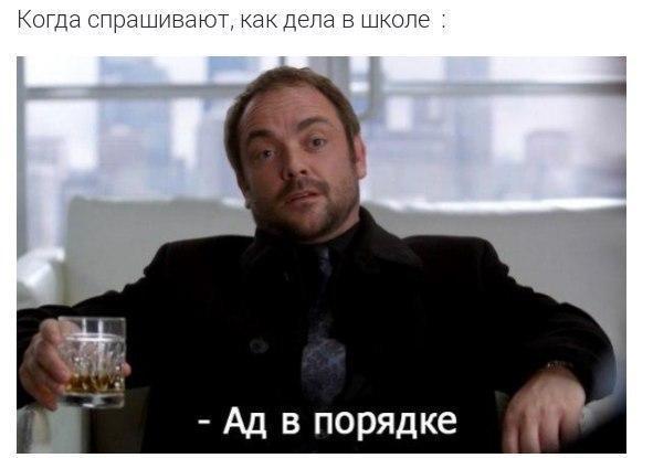 Подборка картинок из сети