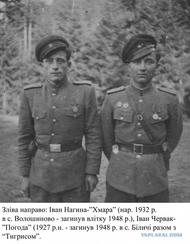 Сегодня ночью украинские силовики нанесли артудар по поселку Еленовка