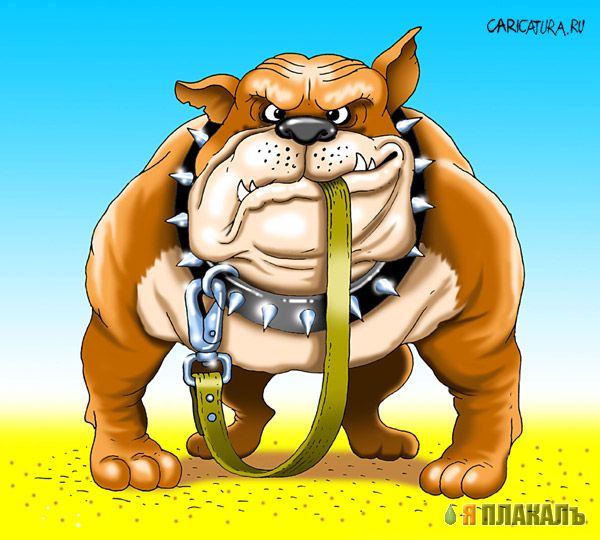 КАРИКАТУРЫ. Прикольные карикатуры