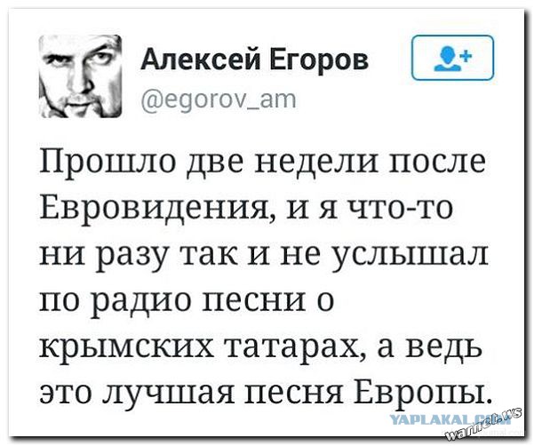 Порция картинок из сети