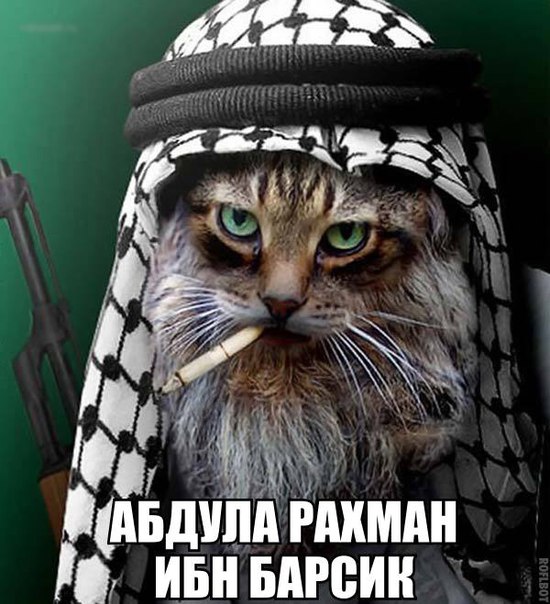 Несколько фот из сети